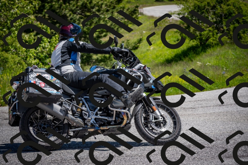 202505311133-DSC_4450_c2