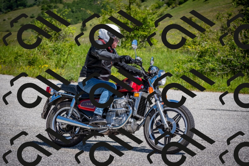 202505311135-DSC_4476_c2