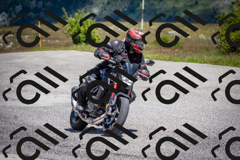 202505311136-DSC_4477_c2