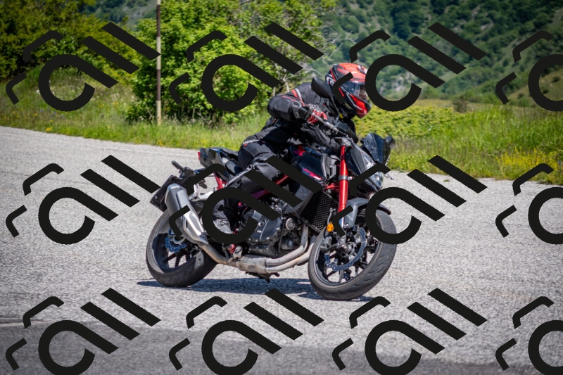 202505311136-DSC_4478_c2