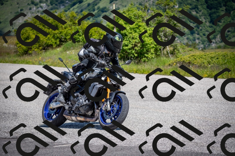 202505311136-DSC_4483_c2