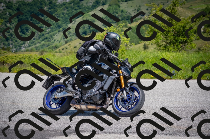 202505311136-DSC_4484_c2