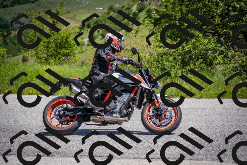 202505311137-DSC_4502_c2