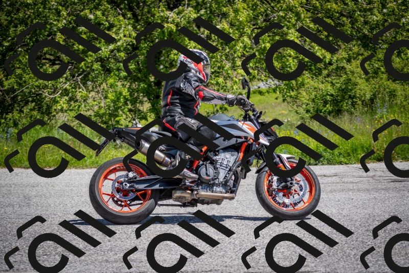 202505311137-DSC_4503_c2