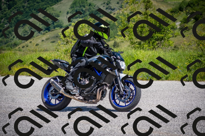 202505311139-DSC_4509_c2