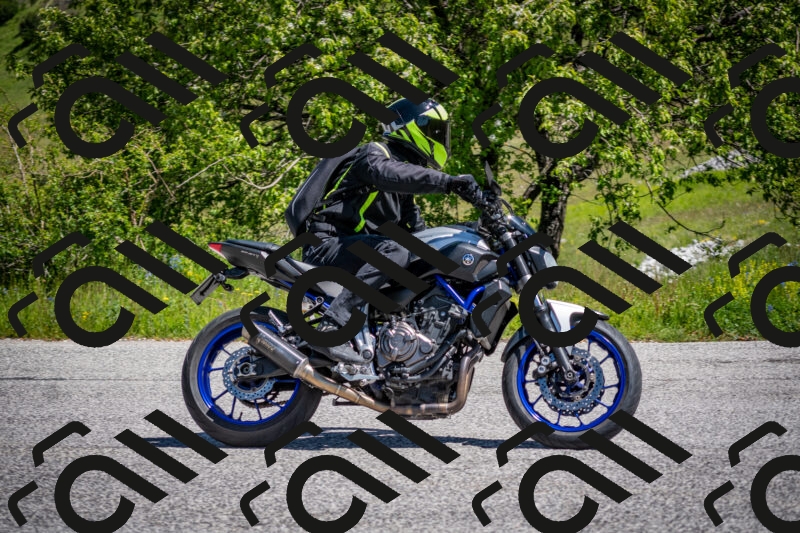 202505311139-DSC_4510_c2