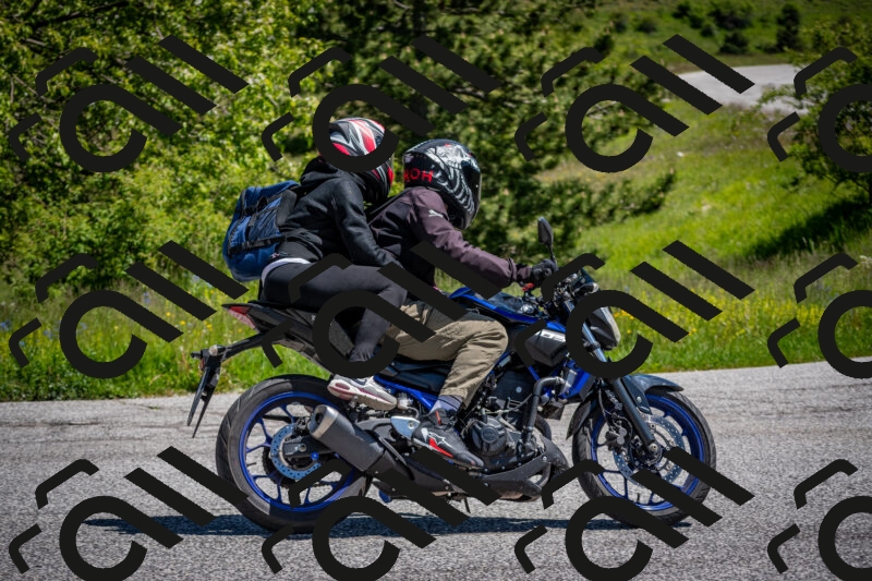 202505311141-DSC_4527_c2