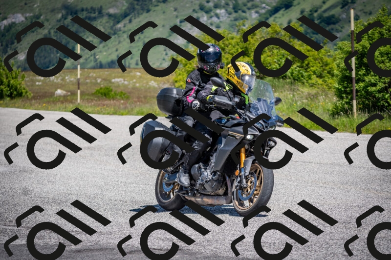 202505311144-DSC_4532_c2