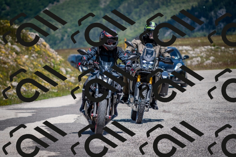 202505311146-DSC_4541_c2