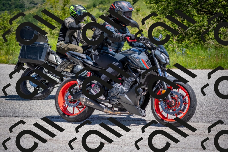 202505311146-DSC_4543_c2