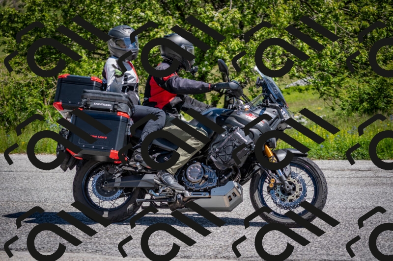 202505311147-DSC_4569_c2