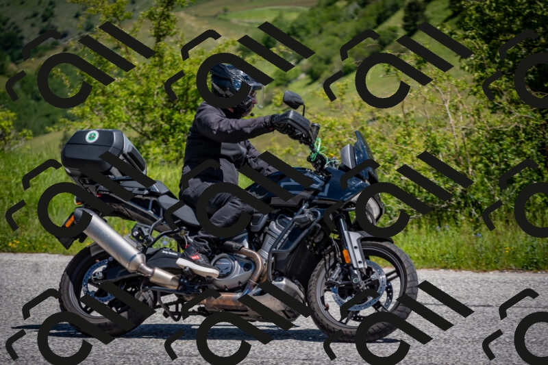 202505311153-DSC_4642_c2