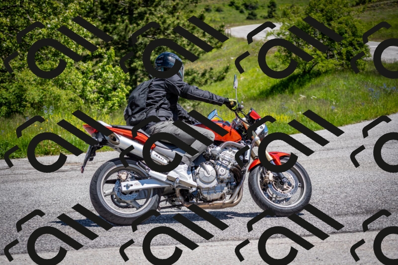 202505311211-DSC_4767_c2