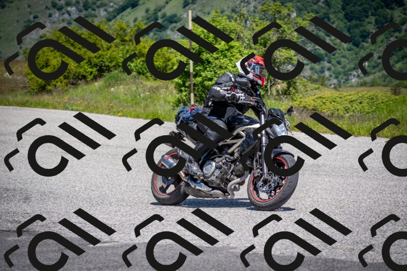 202505311214-DSC_4782_c2