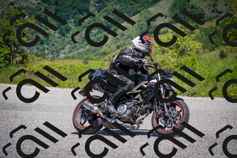 202505311214-DSC_4783_c2