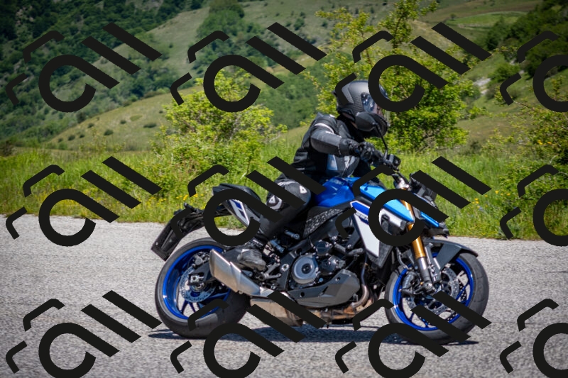 202505311215-DSC_4786_c2