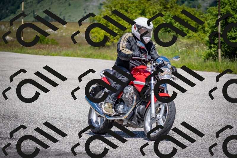 202505311219-DSC_4813_c2