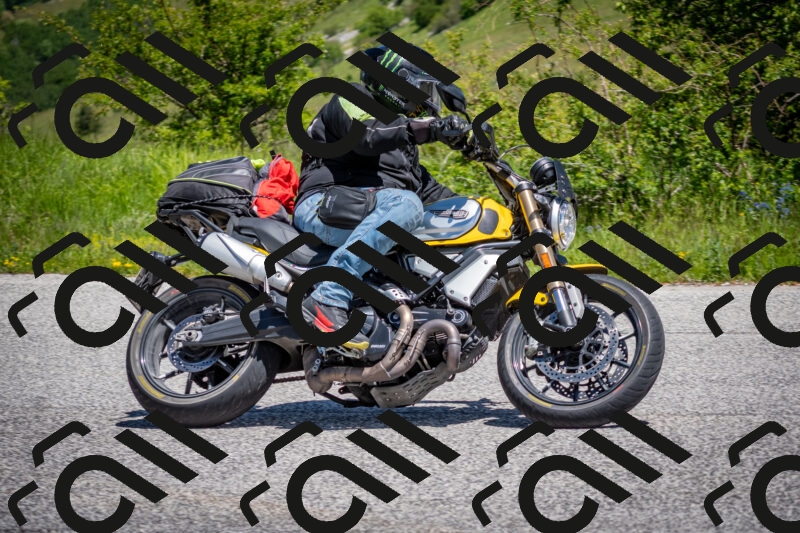 202505311220-DSC_4828_c2