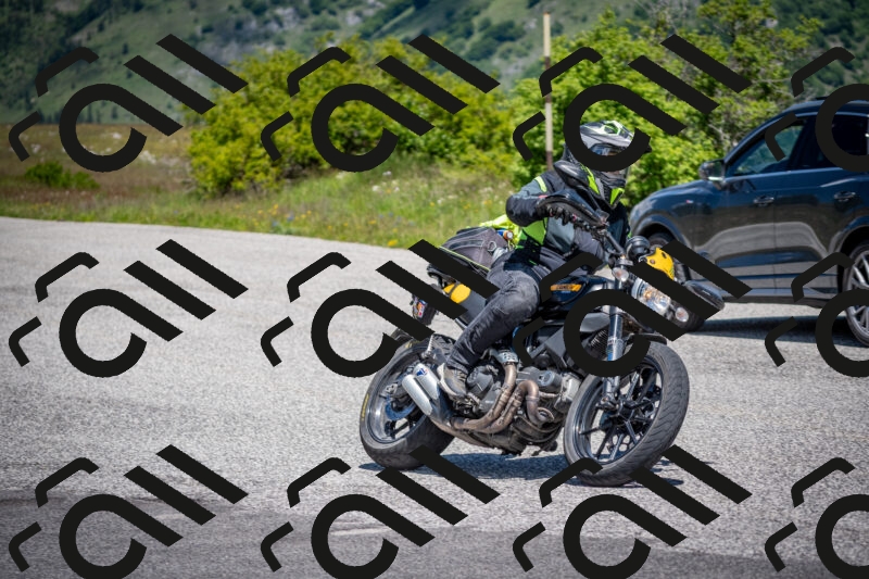 202505311220-DSC_4831_c2