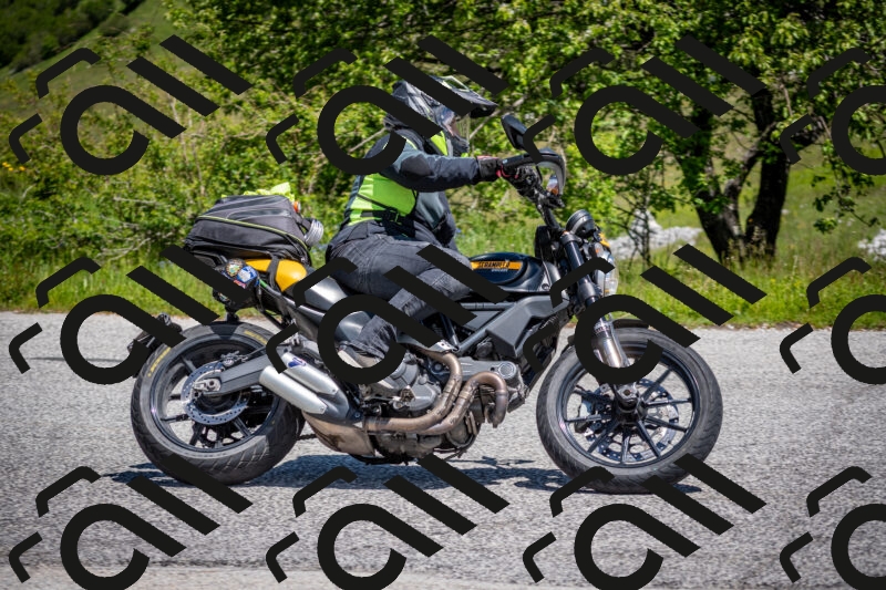 202505311220-DSC_4833_c2