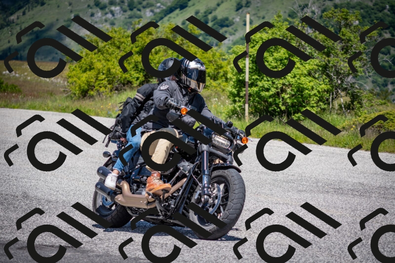 202505311223-DSC_4857_c2