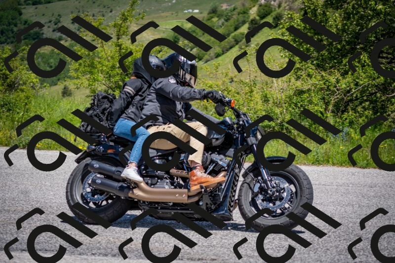 202505311223-DSC_4858_c2