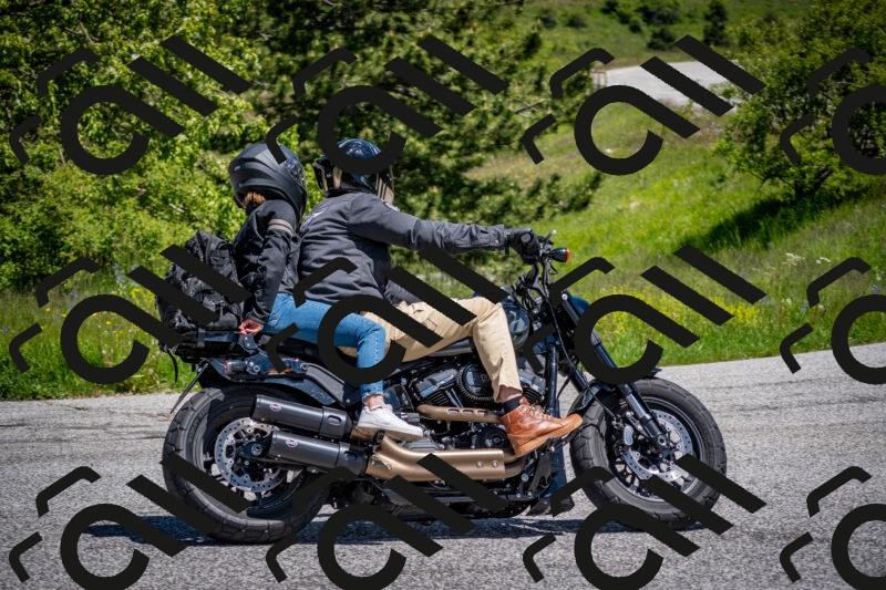 202505311223-DSC_4859_c2