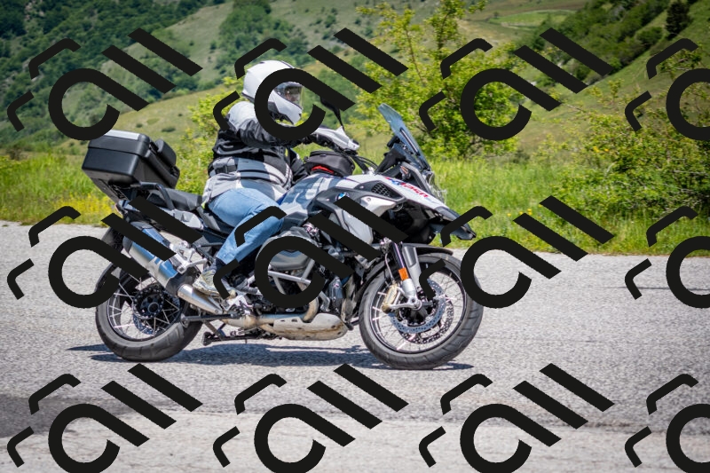 202505311225-DSC_4861_c2