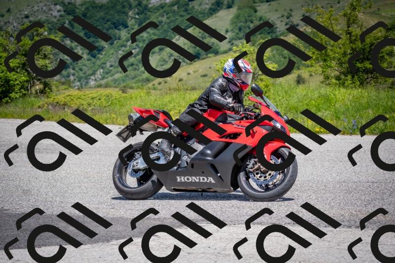 202505311226-DSC_4867_c2