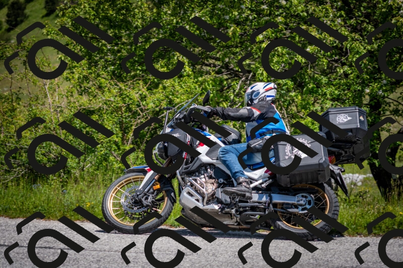 202505311228-DSC_4890_c2