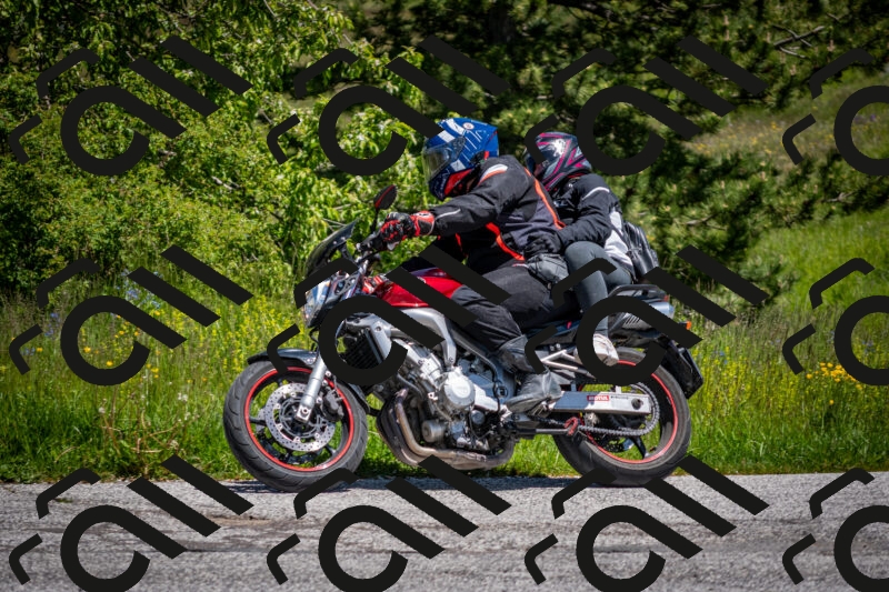 202505311228-DSC_4891_c2