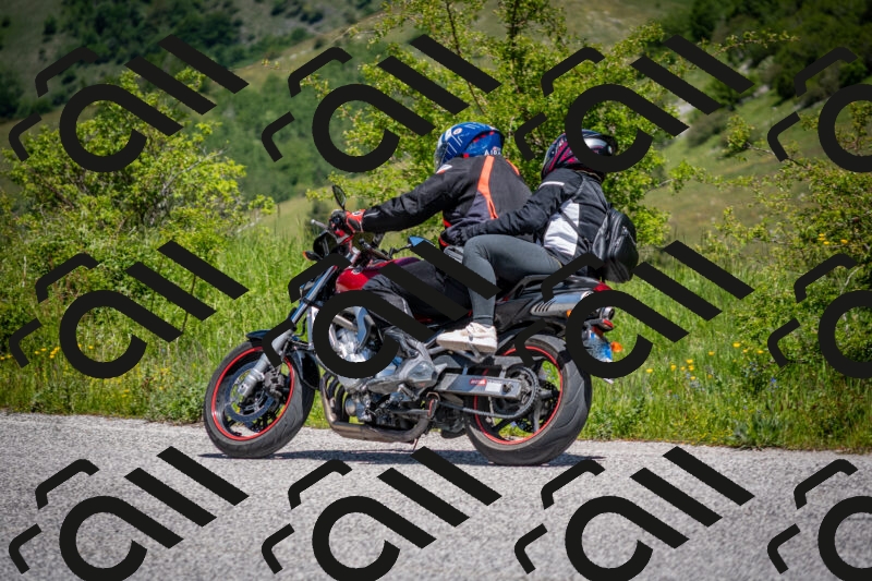 202505311228-DSC_4893_c2