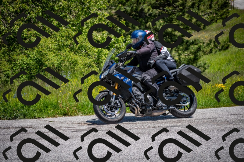 202505311230-DSC_4895_c2