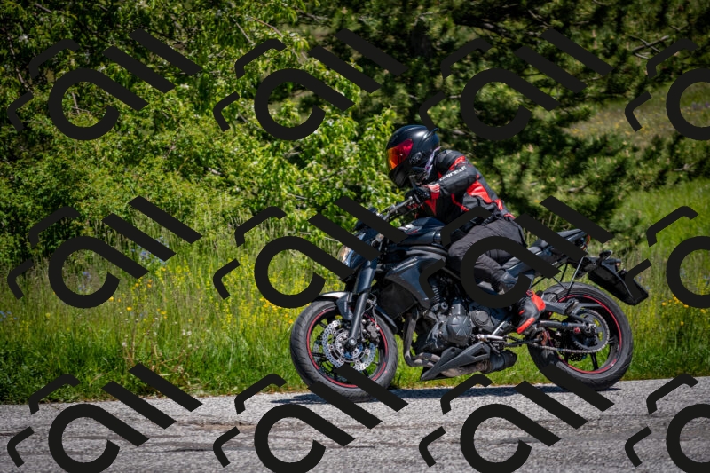 202505311232-DSC_4899_c2