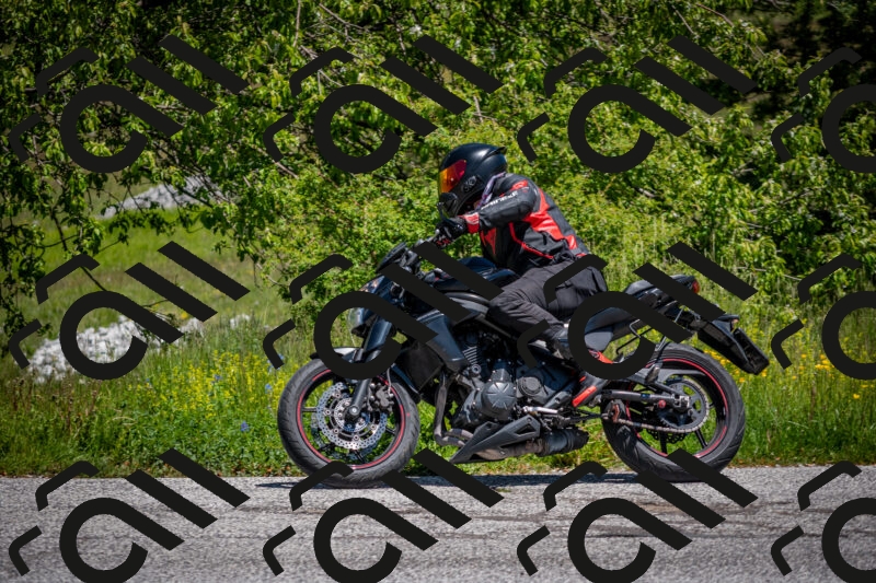 202505311232-DSC_4900_c2