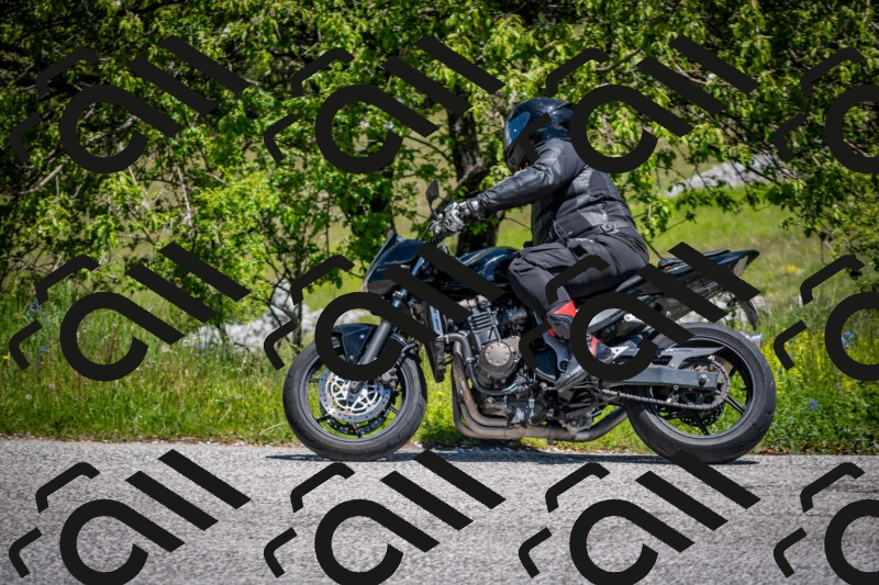 202505311232-DSC_4902_c2