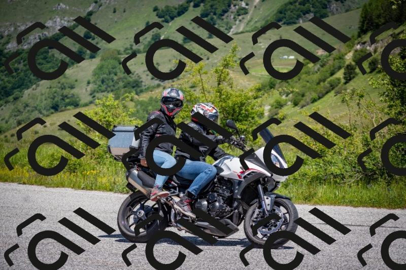 202505311233-DSC_4905_c2