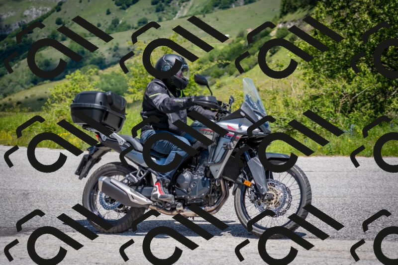 202505311235-DSC_4937_c2