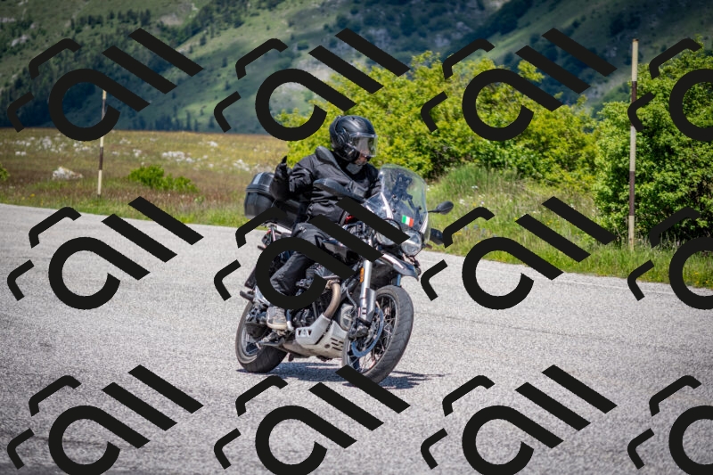 202505311236-DSC_4941_c2