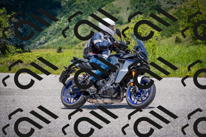 202505311237-DSC_4958_c2