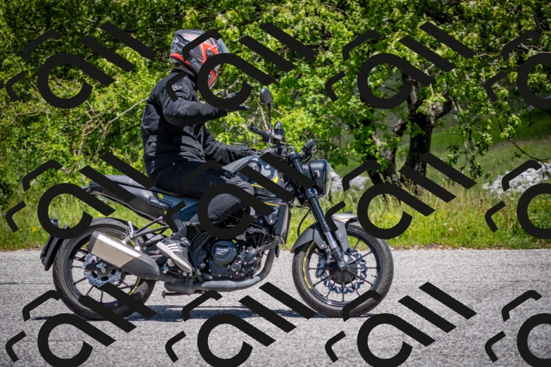 202505311237-DSC_4963_c2