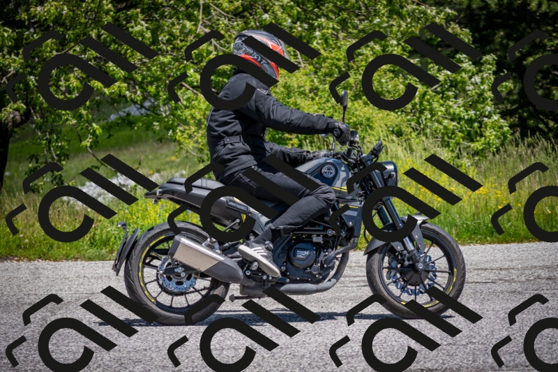 202505311237-DSC_4964_c2