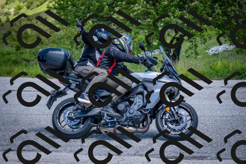 202505311237-DSC_4967_c2