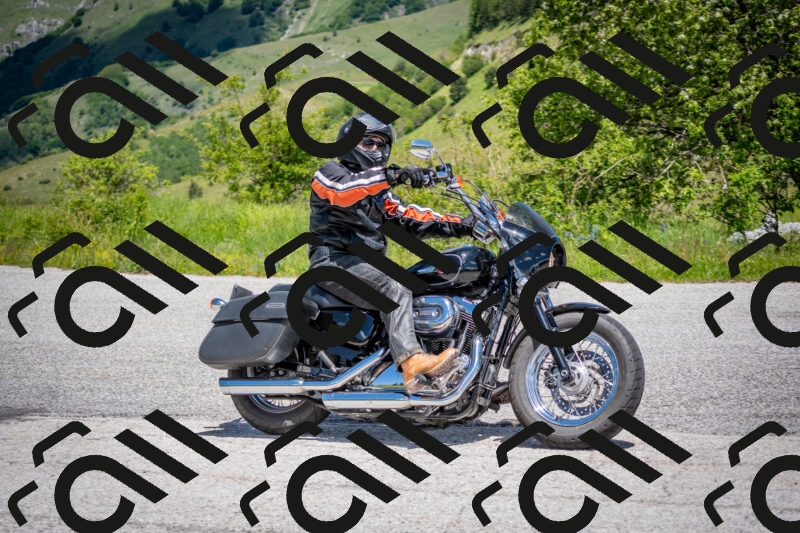 202505311240-DSC_4979_c2