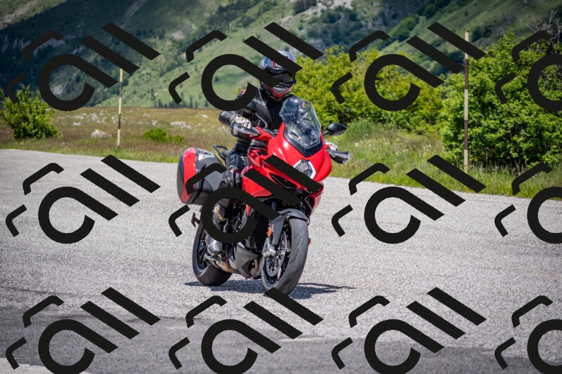 202505311242-DSC_5000_c2