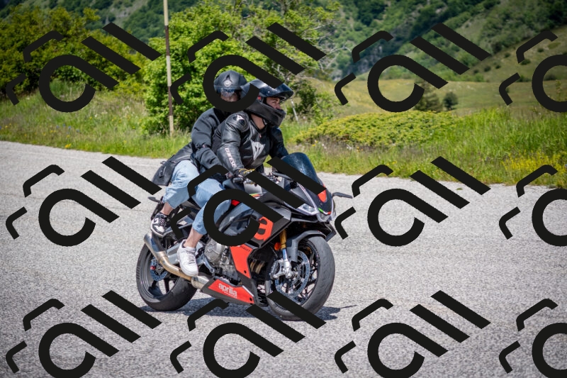 202505311243-DSC_5011_c2