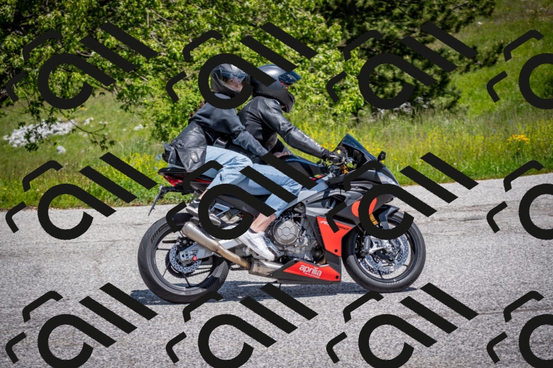 202505311243-DSC_5013_c2