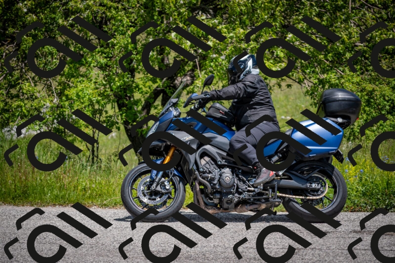 202505311243-DSC_5021_c2