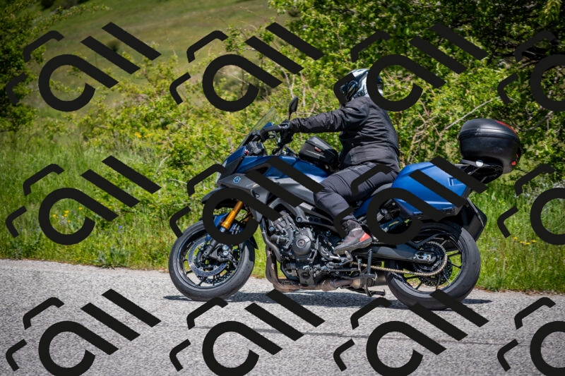 202505311243-DSC_5022_c2