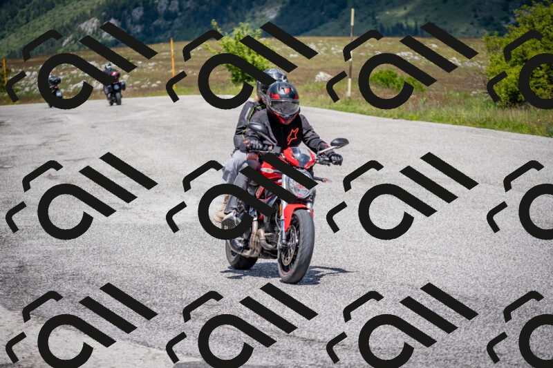 202505311243-DSC_5023_c2